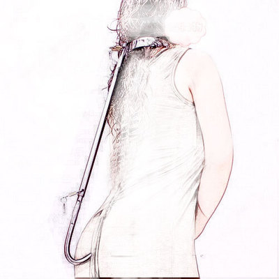 Stainless Steel Restraint Collar Image 1