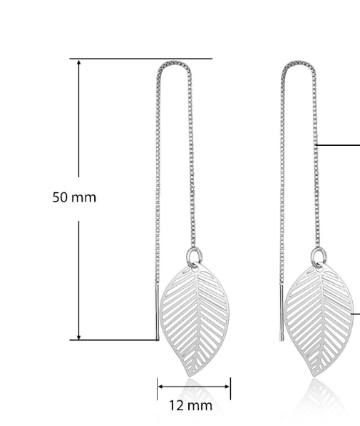 Earrings Image 2