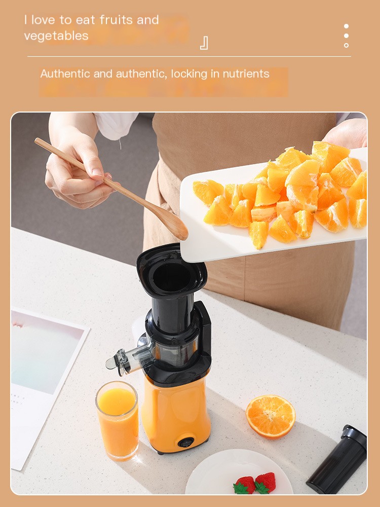 Juicer Image 5
