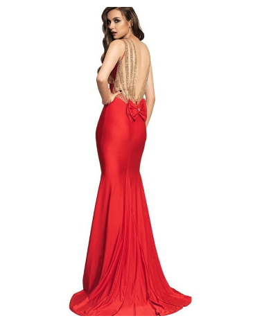 Plus Size Evening Dress