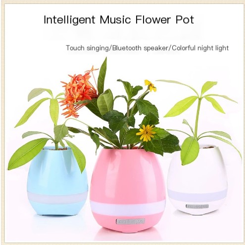 Music Flower Pot Image 2