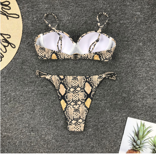 Bikini Safford Image 3