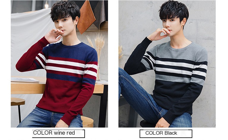 Men's Crew Neck Sweater Image 3