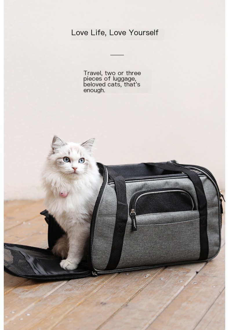 Cat Carrier Features