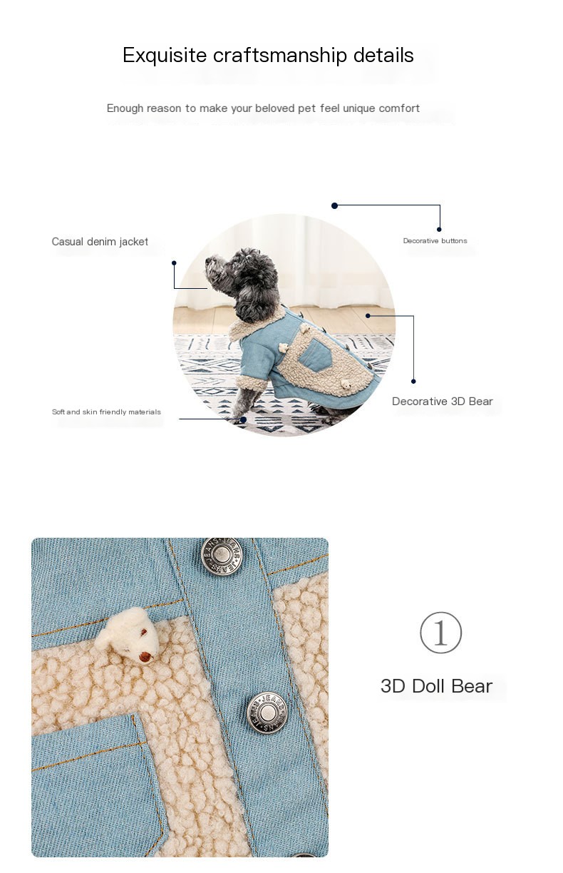Fashionable dog teddy clothes
