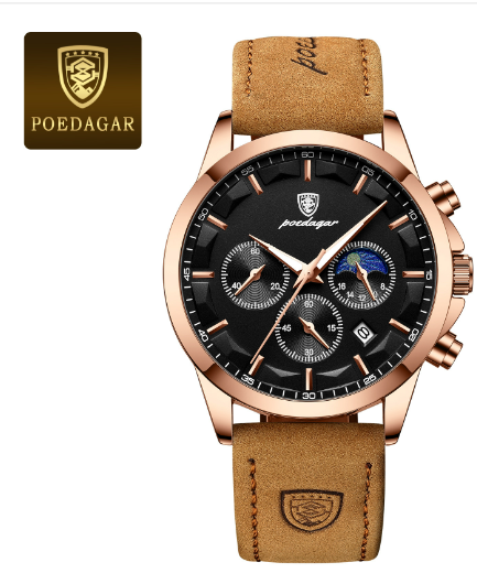Pallass Classic Watch 2