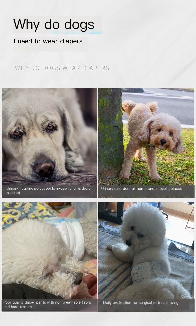 Comfortable and Stylish