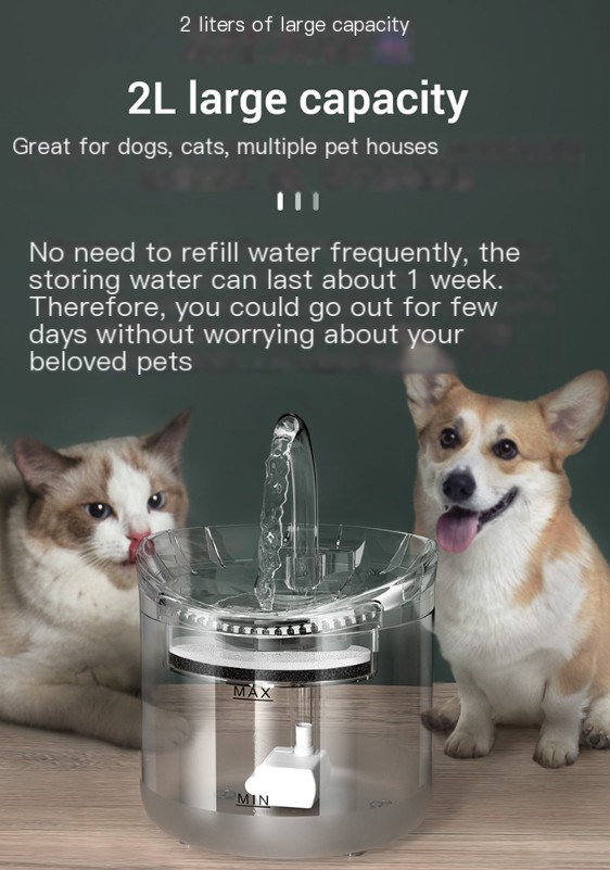 Pet Water Dispenser Image 4