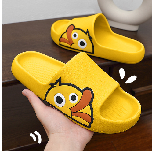 Indoor Slippers
