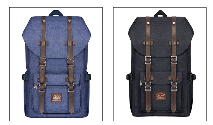 Fashionable Large Capacity Backpack