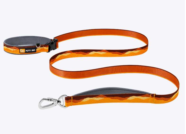 Double Handle Pet Leash Image 2