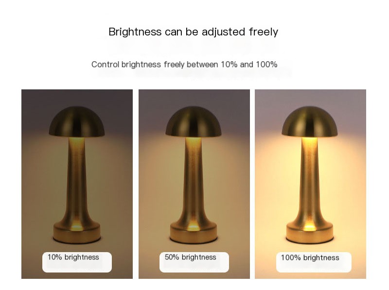 Vintage Atmosphäre Lampe 3