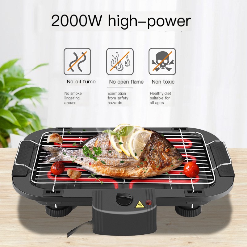 Electric Barbecue Grill