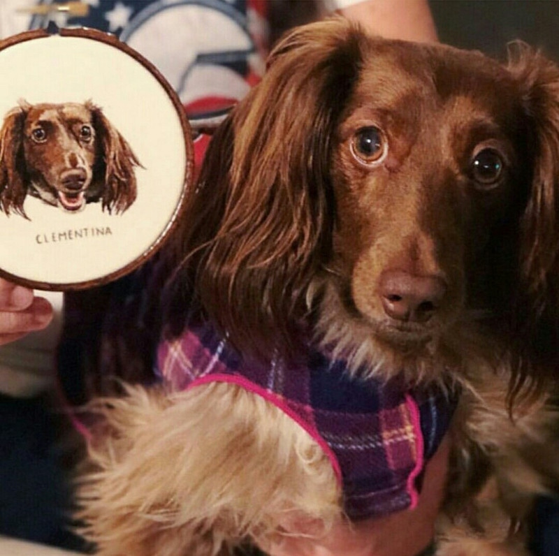 Pet Embroidery Example 1