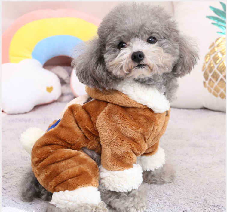 Fashionable Casual Style
