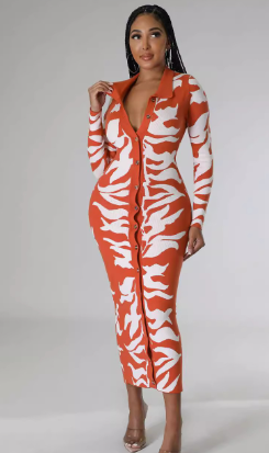 Fashion Dress Image 2