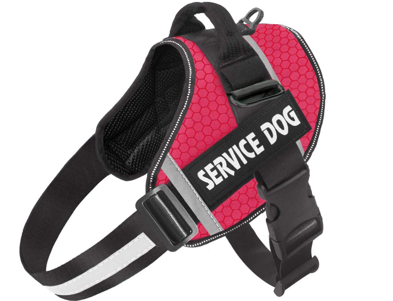Dog Harness Image 3