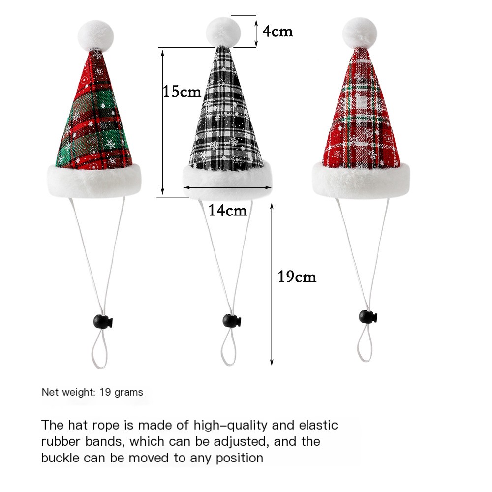 Dog Collar and Hat 4