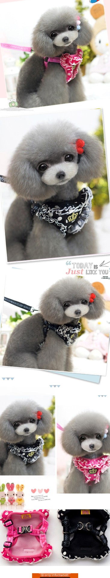 Polka Dot Dog Harness - Image 1
