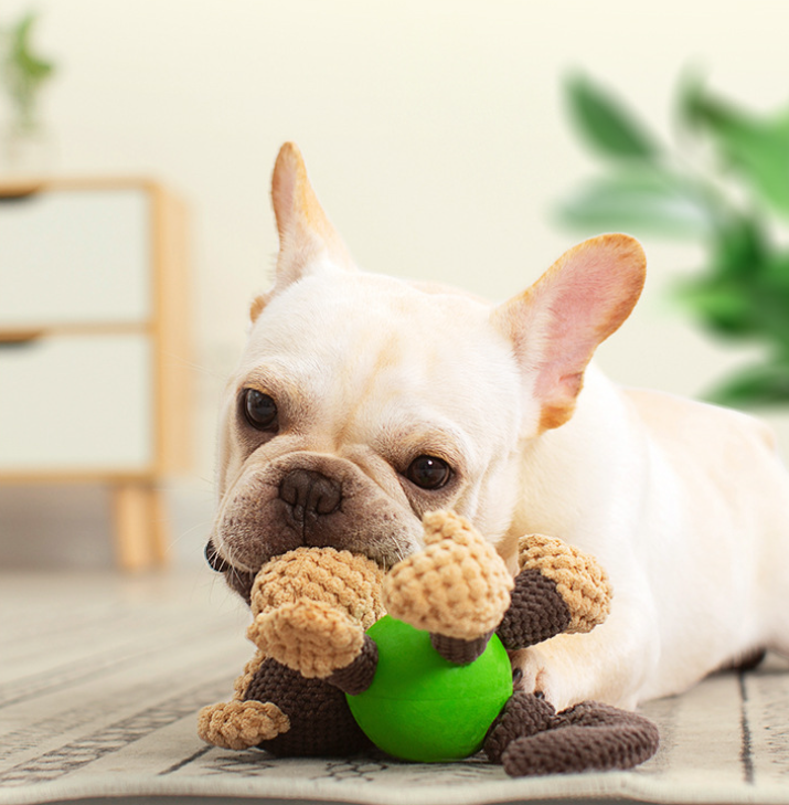 Squeaky Plush Toy