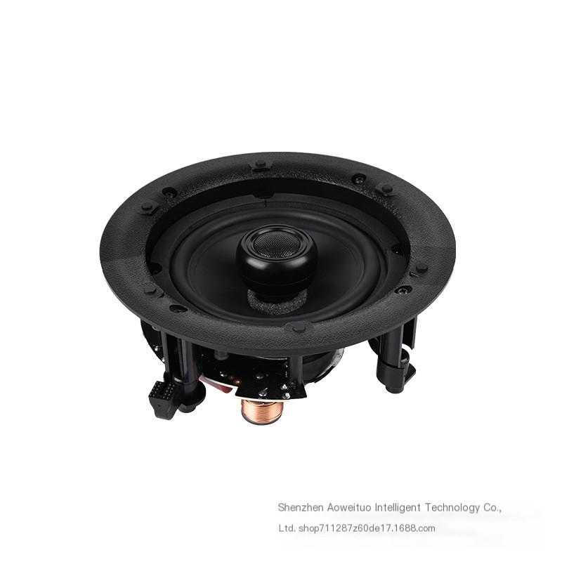 Ceiling Speaker 1