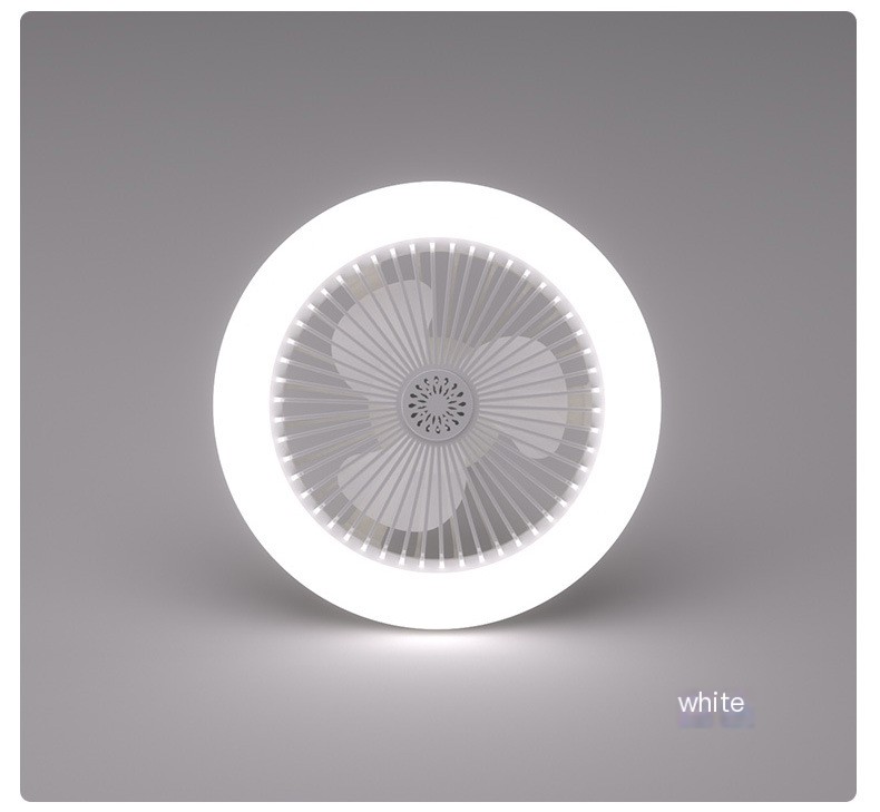 Fan Lamp 11