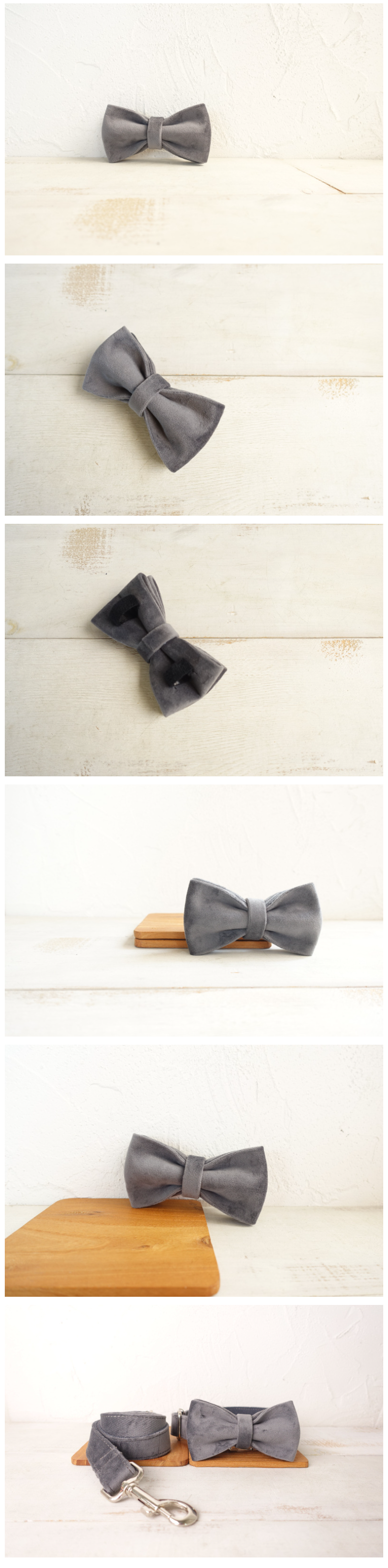 Dog wearing a bow tie