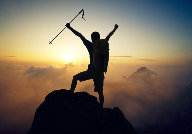 Trekking Pole Image 3