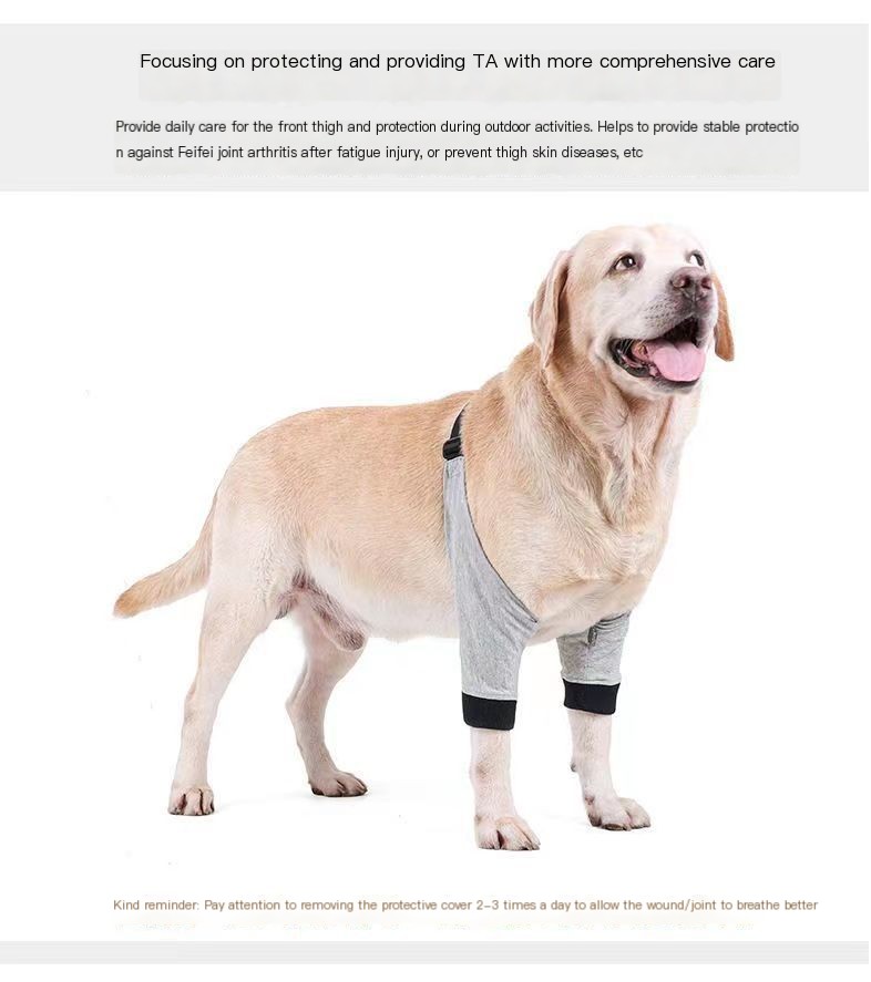 Dog Leg Injury Protection Cover Image 11