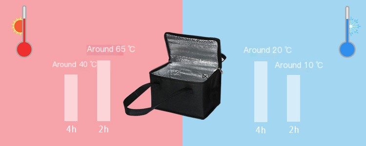 ThermoCarry Image 4
