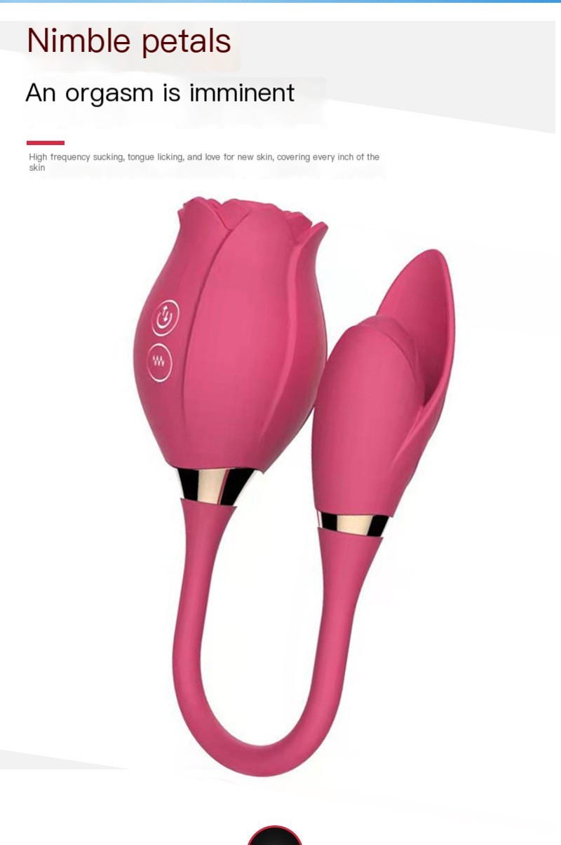 Vibrator Image 3