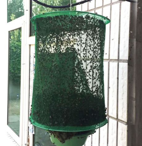 Foldable Fly Trap Image 3