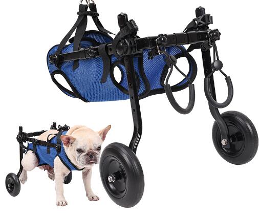 Dog in wheelchair