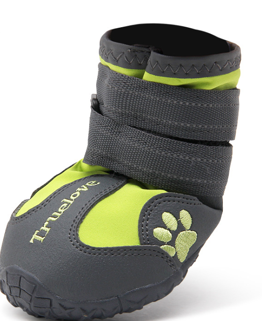 Dog Shoe 5
