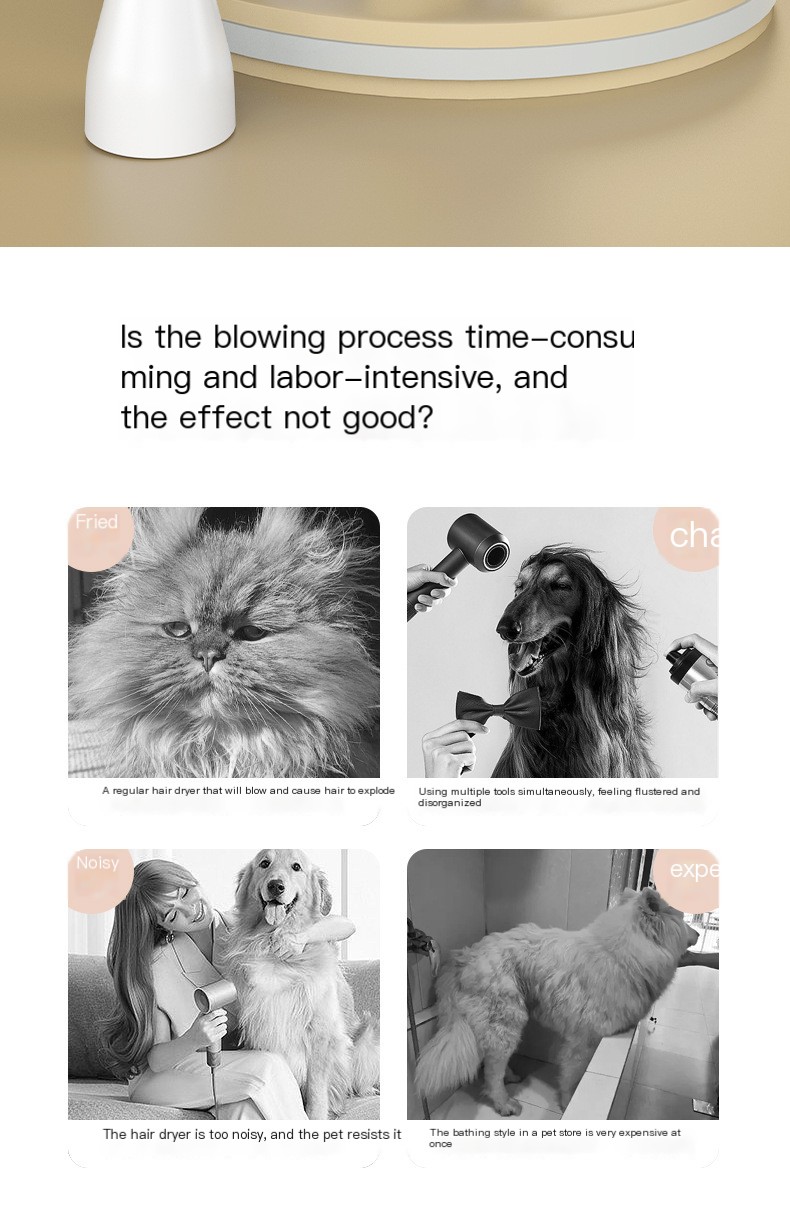 Pet Hair Dryer - Silver