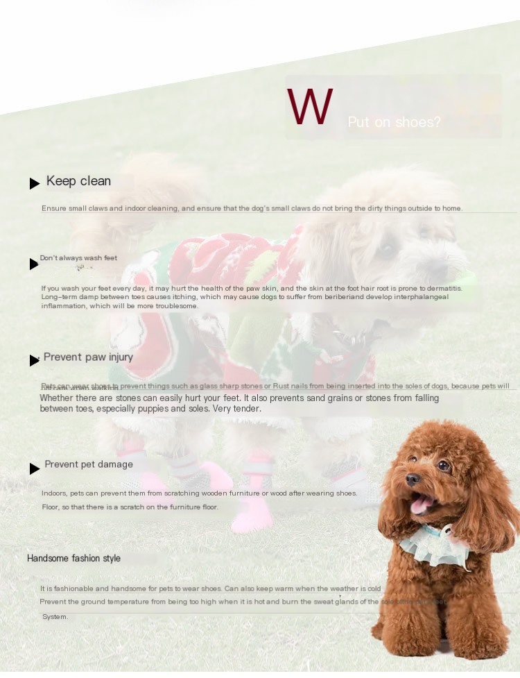 Pet Mesh Shoes Image 2