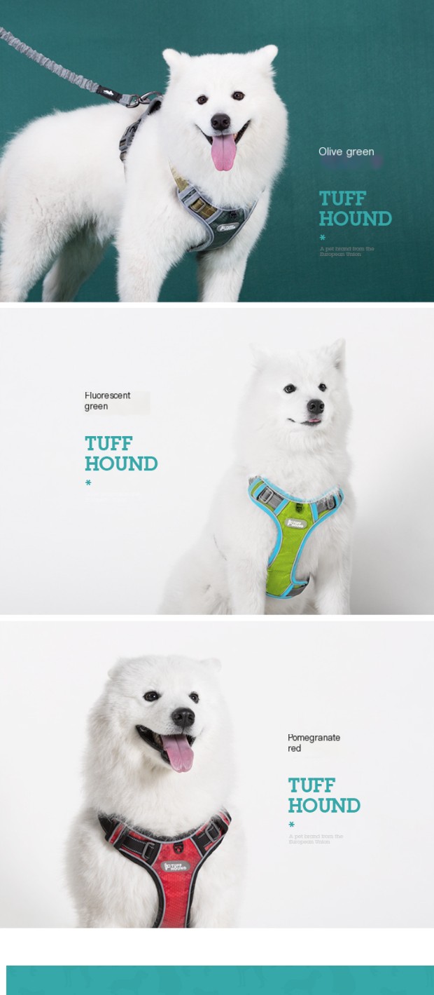 Pet Comfort Design