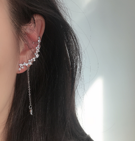 Crystal Tassel Earrings