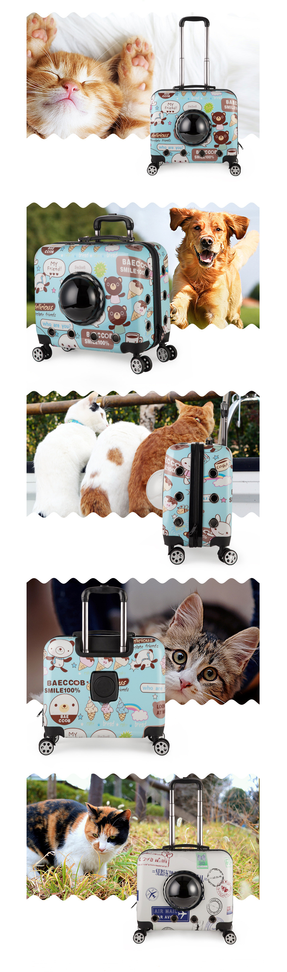 Pet Trolley Box Image 4