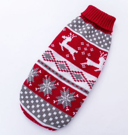 Golden Dog Clothes 5