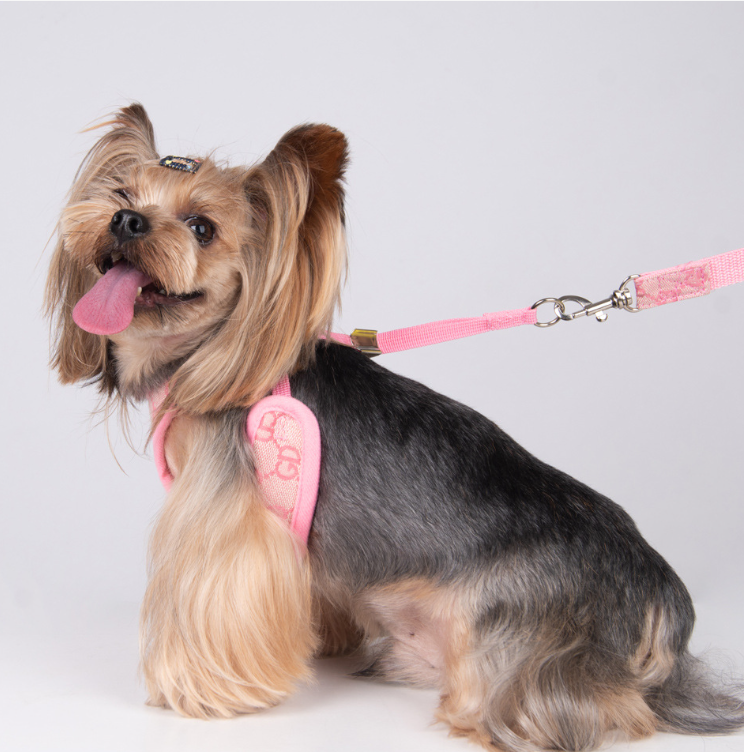 Pet Harness Image 3