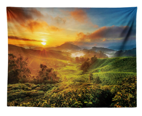 Tapestry Image 1