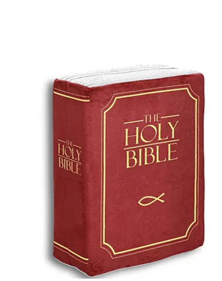 Scripture Pillow Design 1