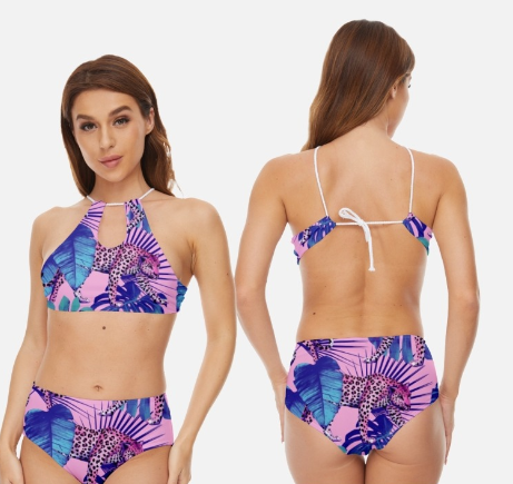 Bikini Image 1