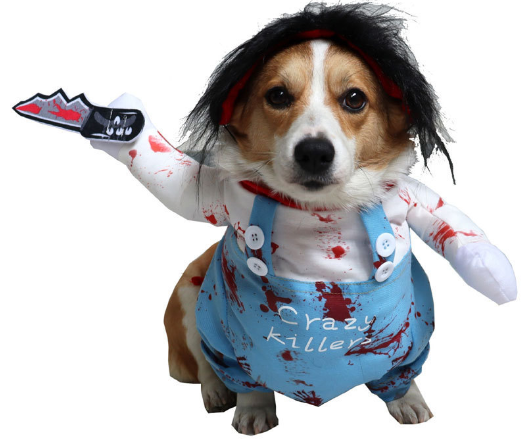 Pet Costume 2