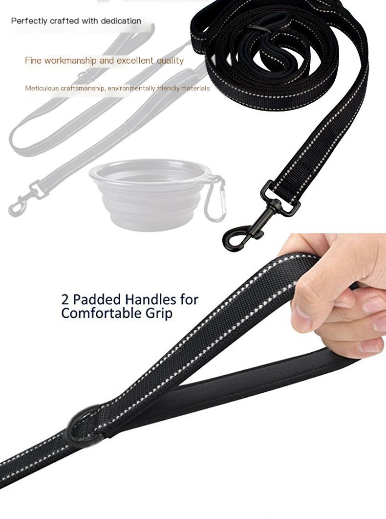 Dog Leash 4