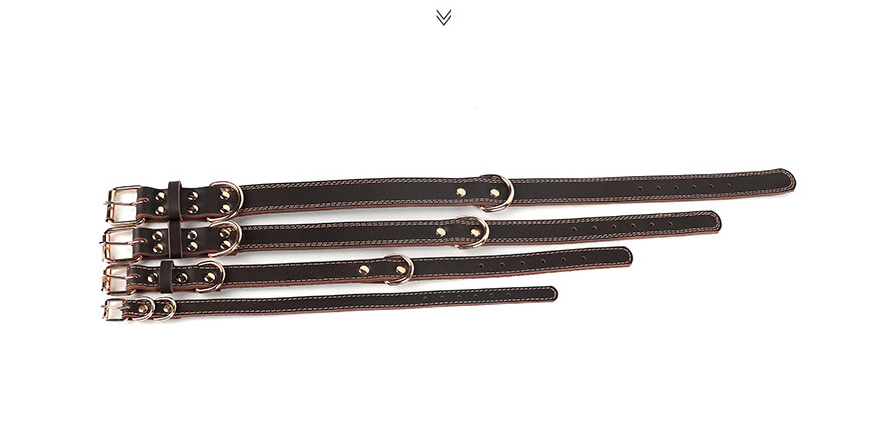 Leather Dog Collar - Image 2