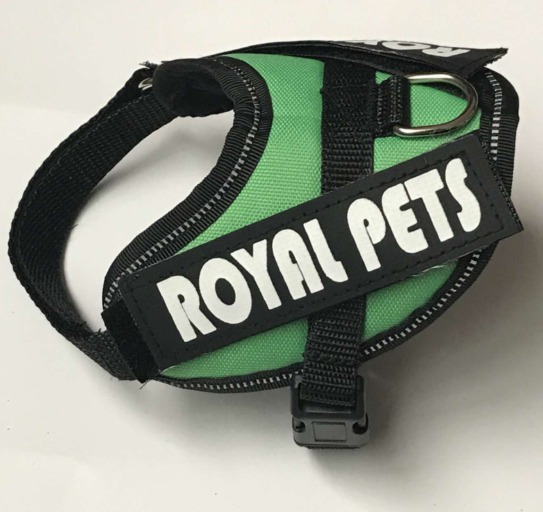 Harness in Use