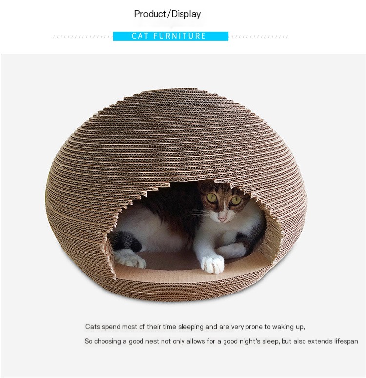 Scratching Board