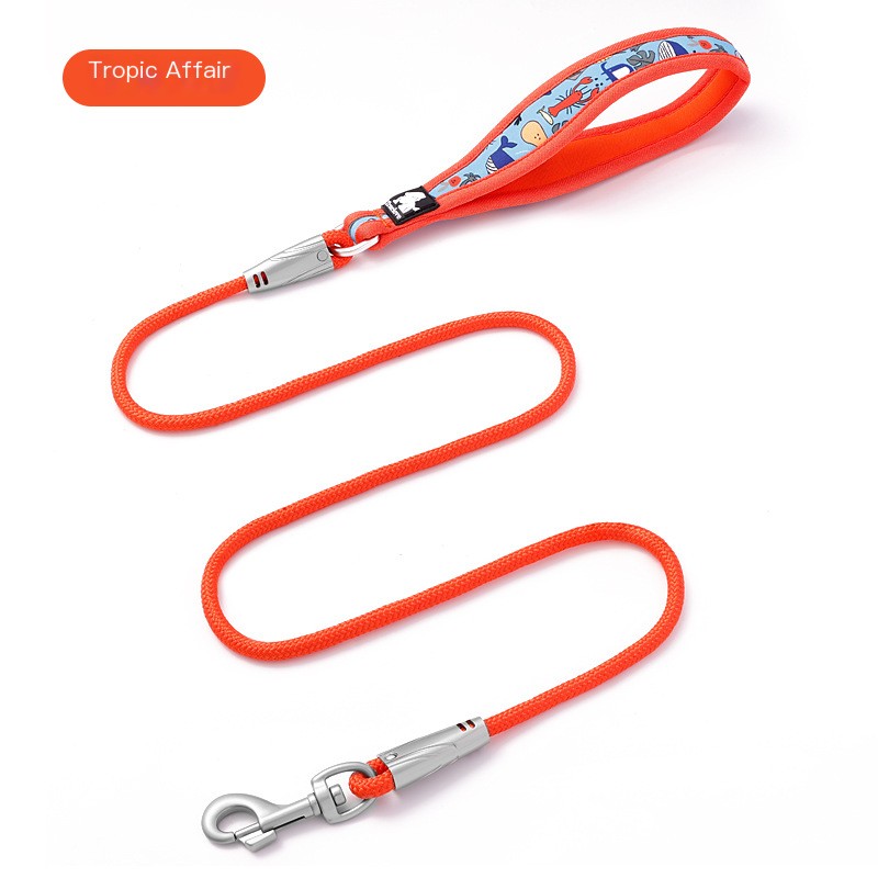 Truelove Dog Leash Image 6